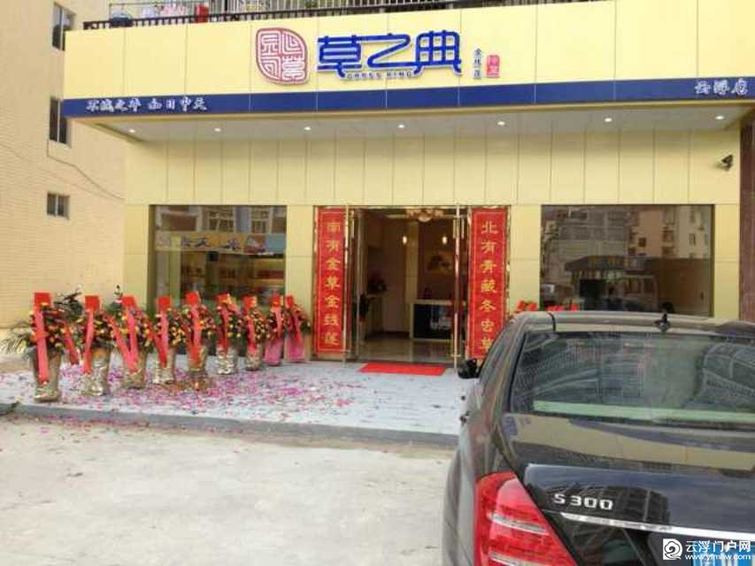 云浮草之典金线莲 云浮草之典金线莲