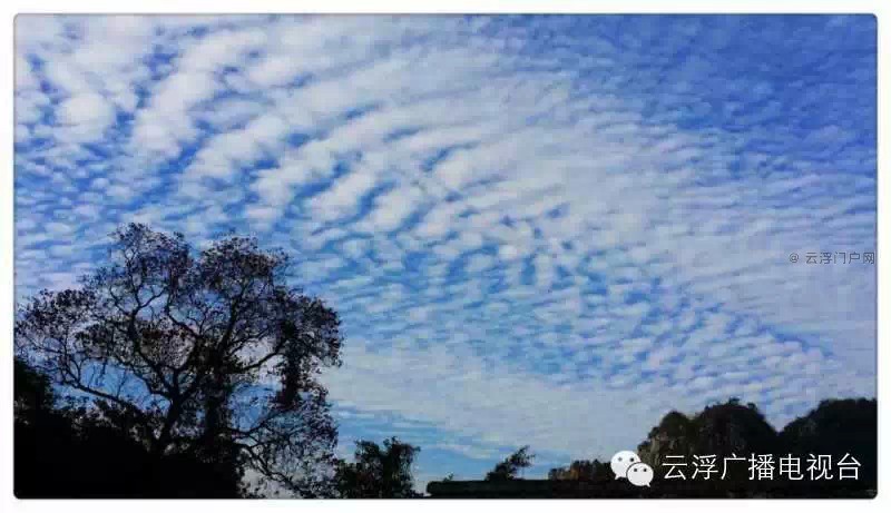 云浮网友狂拍天空美得如此的任性!  云浮网友狂拍天空美得如此的任性!