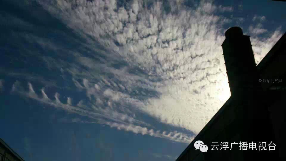 云浮网友狂拍天空美得如此的任性!  云浮网友狂拍天空美得如此的任性!