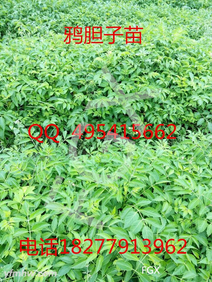 QQͼƬ20150619112623 -  -  -  - .jpg