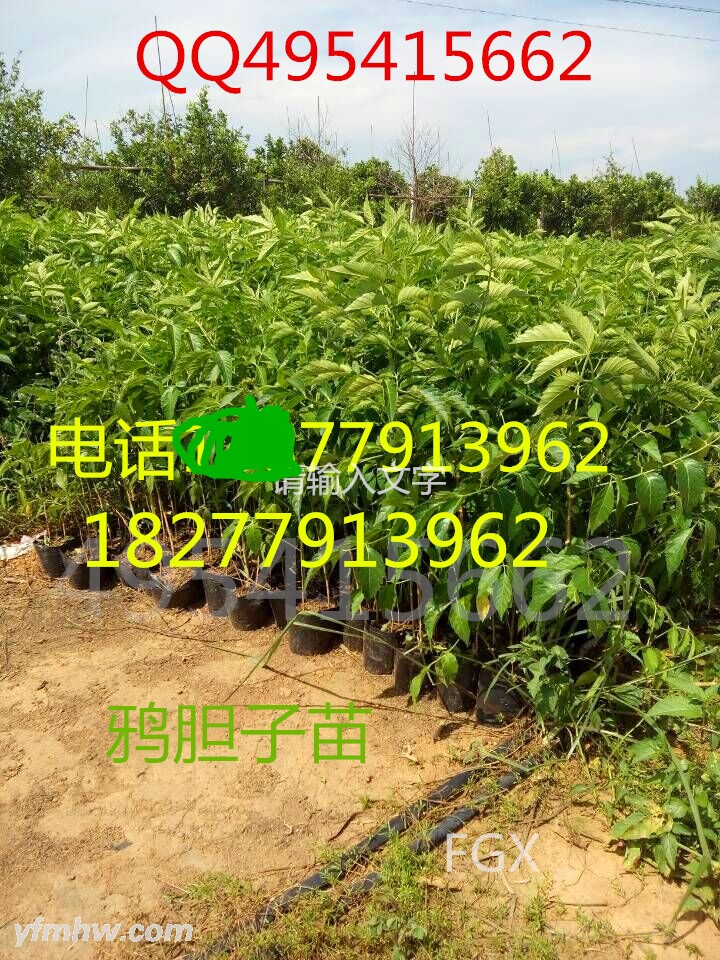 QQ图片20150619112629 - 副本 (2) - 副本.jpg QQ图片20150619112629 - 副本 (2) - 副本.jpg