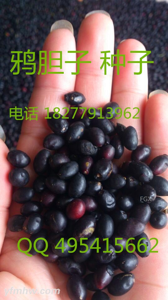 QQͼƬ20150901124407 - .jpg