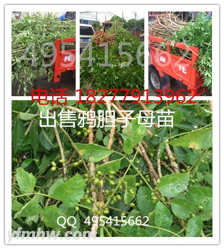 QQͼƬ20150901124412 -  -  -  -  - .jpg