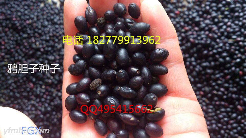 QQͼƬ20150901124454 - .jpg