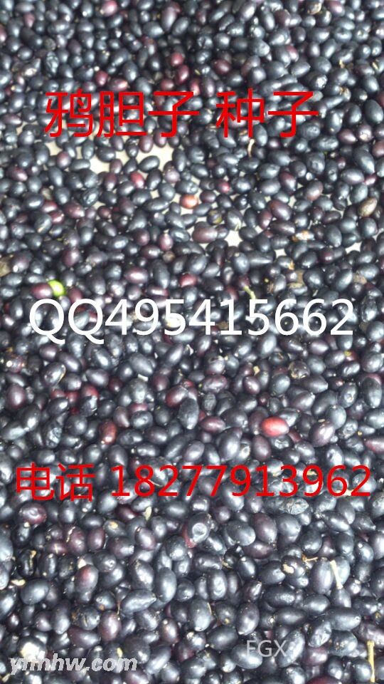 QQ图片20150901124458 - 副本 (2) - 副本.jpg QQ图片20150901124458 - 副本 (2) - 副本.jpg