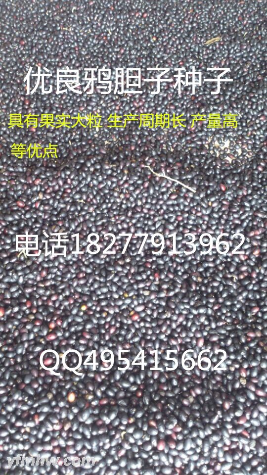 QQ图片20150901124502 - 副本 - 副本 - 副本.jpg QQ图片20150901124502 - 副本 - 副本 - 副本.jpg