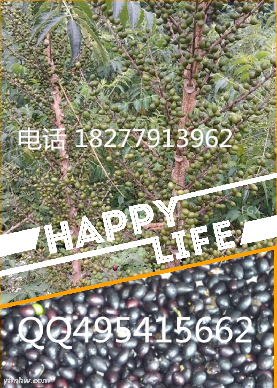 QQ图片20150901143031 - 副本.jpg QQ图片20150901143031 - 副本.jpg